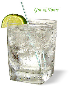 gin_tonic.jpg