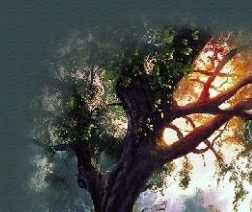 countryhead2_1x1.jpg - 43701 Bytes