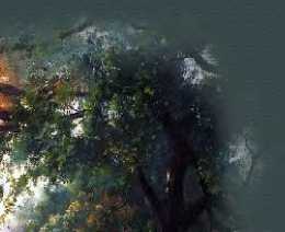 countryhead2_1x2.jpg - 39258 Bytes