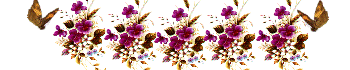 violetsflowermtbar2.gif - 12439 Bytes