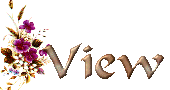 violetsflowermtview.gif - 5494 Bytes