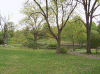 View of the Pond.gif (227072 bytes)