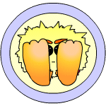 Wow, somebody crazier then Ara named me...