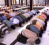 Bow down, creatures!