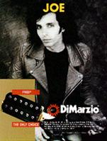 satriani.jpg (8364 bytes)