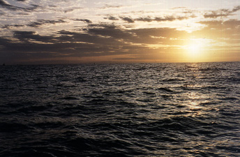  
A typical sunrise at sea.