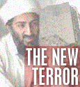 brand_terror.gif (14790 bytes)