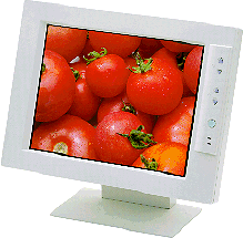 monitor2.gif (23837 bytes)