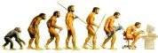 Evolution of man cartoon