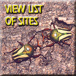 View list of sites