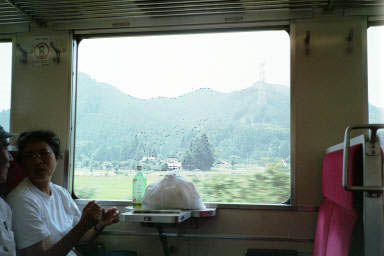 �A�[�b ���ꂢ�I The great green high hillside of Nikko.