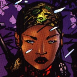 Logan: Path of the Warlord, Graphic Novel