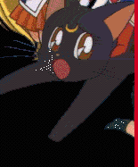 cat1.gif (10437 bytes)