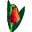 tulip.gif (1312 bytes)
