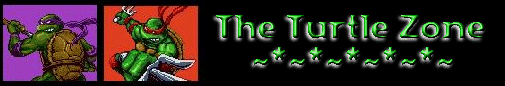 The Turtle Zone