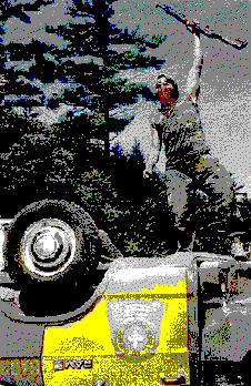 wpe3.gif (15825 bytes)