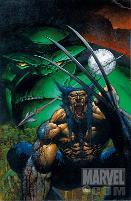 Hulk/Wolverine: 6 Hours #1