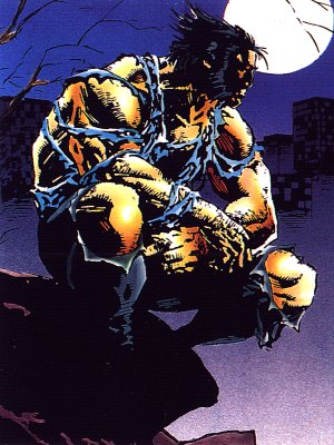 1 - Wolverine - Wolverine is a man of contradictions:  superhero and outlaw, moral philosopher and psychotic, loner and family man.  He's a protector of society who feels ill-at-ease within it.  He's a breaker of rules who binds himself to a code of honor, a world-famous adventurer who hodes behind a false identity, a savage killer of criminals and kind friend to children.  He's a beast and a man, all in one person.