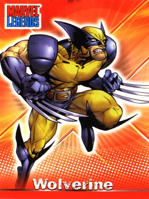 He's the best there is at what he does, and that happens to be scrappin' and slicin'.  Wolverine is a mutant with super healing power and near-feral instincts.  He also has adamantium, a virtually indestructible metal, bonded to his skeleton and three claws that project from each hand.  A long-time loner, Wolverine has found a home with the X-Men and has developed a reputation as the team member who's not afraid to get his hands dirty (with the insides of his enemies) to get the job done.