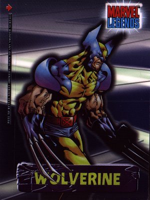 A member of the X-Men, the mutant Logan was unwillingly subjected to the Weapon X program which bonded adamantium to his skeleton and gave him his trademark claws.  Ask him about his past, and you'll get a blank stare - it's all a mystery to him.  Thanks to a mind-wipe by Weapon X, he has no knowledge of how old he is, his parents, or what he did prior to serving as a government agent. - Secret Identity Wolverine