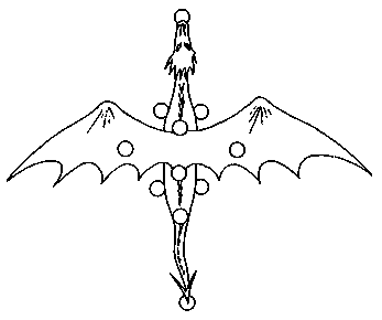 Dragon Tree Of Life Correspondences