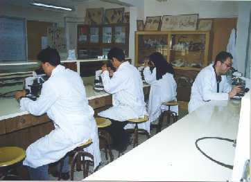 Biol.jpg (13498 bytes)