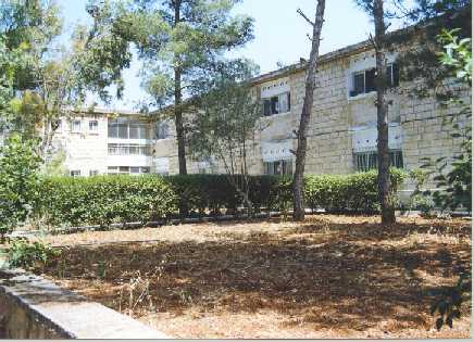 House.jpg (31375 bytes)