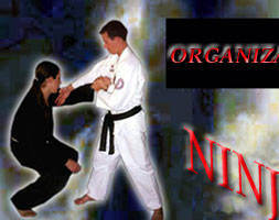 Naja2-01-01.jpg (24917 bytes)