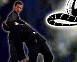 Naja2-03-01.jpg (20402 bytes)