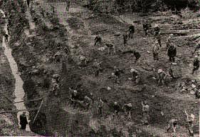 Comienza la lucha contra la adversidad