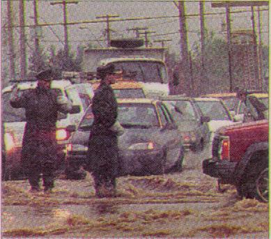 �Alguien respetar� el tr�nsito?