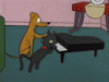 El perro y el gato tocando el piano