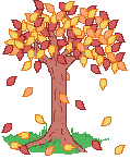 fall tree
