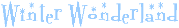 WinterWonder Land