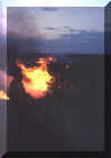 Dan Butler on a fire north of Daveytown in 2000.