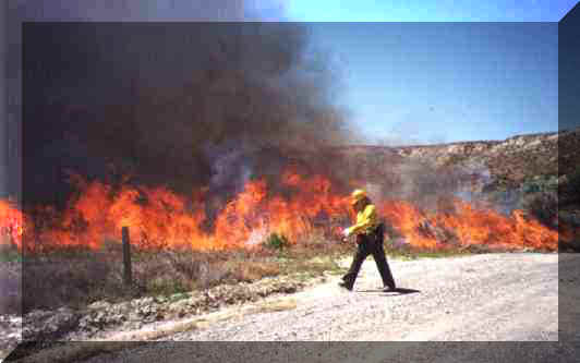 Picture taken by Winnemucca FCO Greg Garcia.