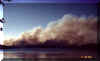 A picture of the smoke column coming from our burn on Pinkney Island NWR.