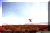 Picture of a heavy dropping on the School Fire, just north of McDermit, NV in July 2000.