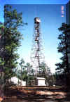 A lookout tower on the boundary of the Carolina Sandhills NWR.