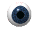 Image of a eyeball