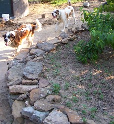 Baby Love & her brother, Caleb