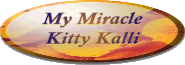 My Miracle Kitty Kalli
What an Angel!!