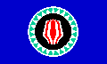 Bougainville flag