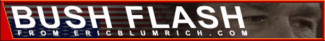 Bush Flash