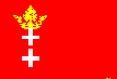 Danziger Flag