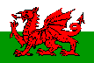 Flag of Cymru (Wales)