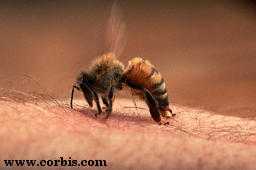 look! this one's inflicting damage! cool!