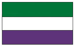 Tri-Color Flag