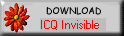 ICQ Invisible