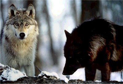 Elders on Spirit Rock